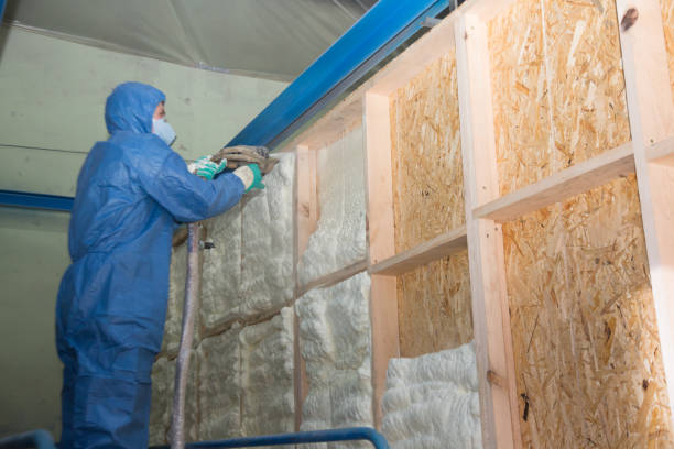 Insulation Repair Services in Helena West Side, MT